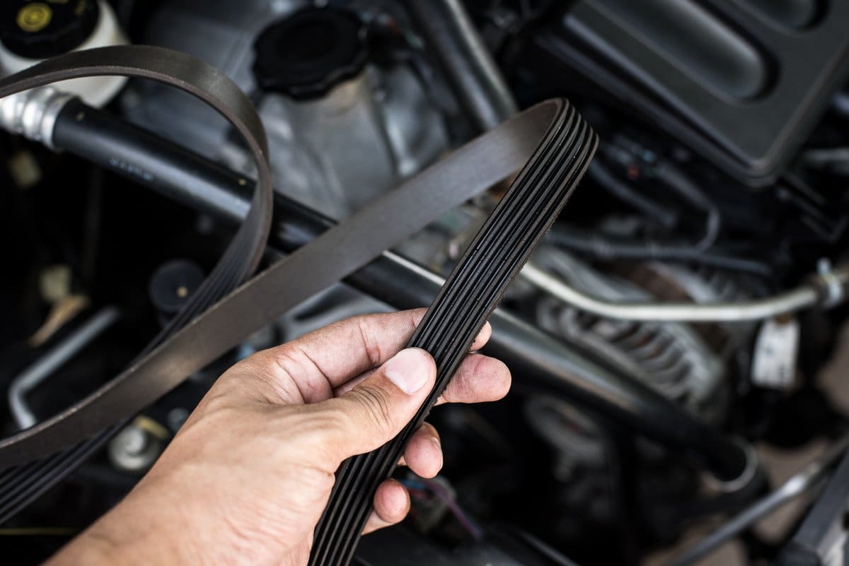 Technician inspecting a serpentine belt for cracks and wear in an engine bay