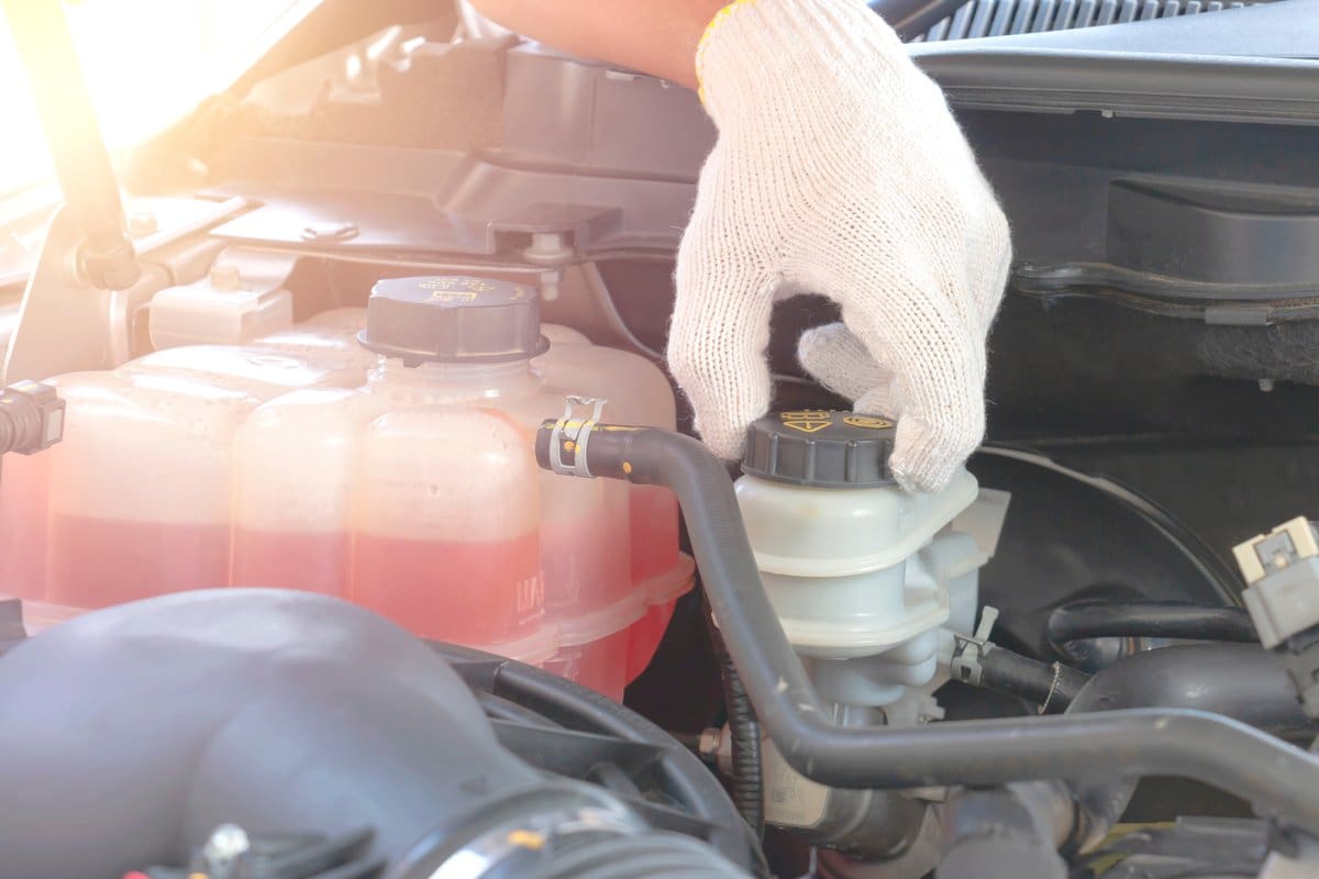 Technician checking fluid reservoir levels under the hood of a vehicle