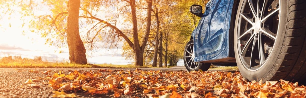 Fallen autumn leaves covering the road beside a parked car